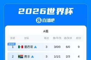 世界杯小组赛完整积分榜:巴德荷比西法阿英获得各自小组第一出线配图