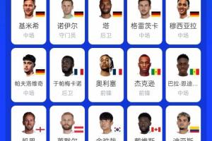 苦涩!拜仁17人出战本届世界杯,仅韩国球员金玟哉未能出线配图