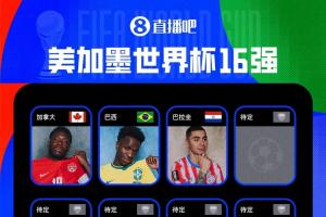 世界杯16强出炉3席!巴拉圭淘汰德国,巴西、加拿大绝杀晋级配图