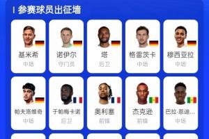 一下少7个!德国、日本遭淘汰后,拜仁参加世界杯的球员仅剩9人配图