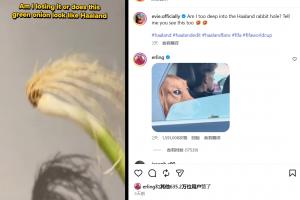 爆火!网友用“一根葱”cos哈兰德,哈兰德本人回复,超600万点赞配图