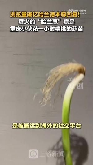 cos哈兰德的是蒜苗不是葱!重庆小伙才是原作者 视频被偷浏览破亿配图
