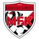 索博塔队徽